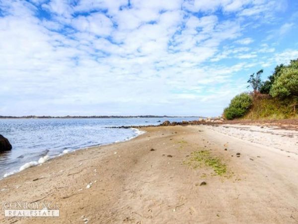 Cape Cod Home 994422
