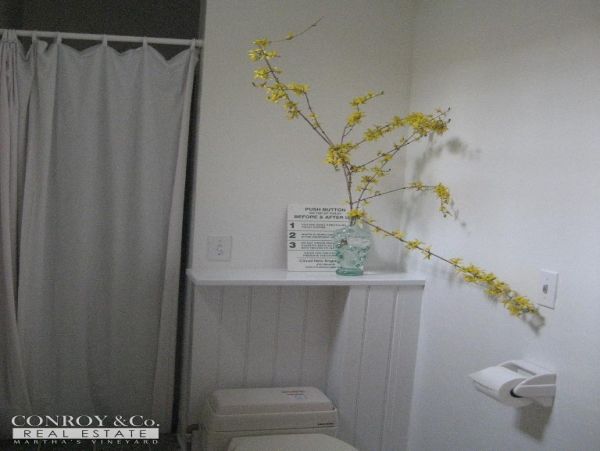 Cape Cod Home 994423
