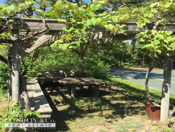 Cape Cod Home 994424
