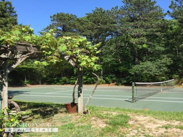 Cape Cod Home 994424