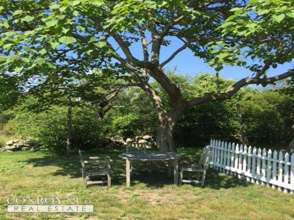 Cape Cod Home 994424