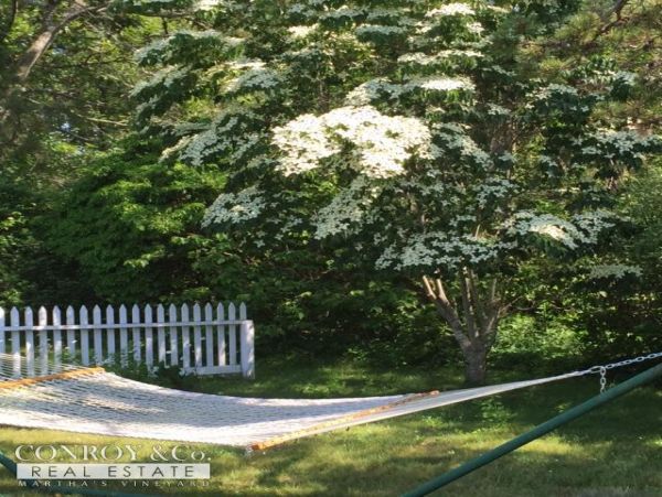 Cape Cod Home 994424