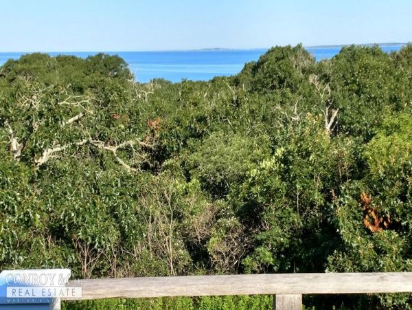 Cape Cod Home 994425