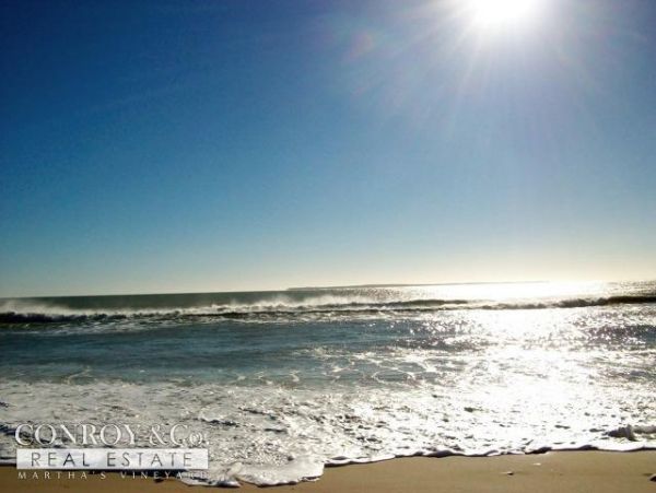 Cape Cod Home 994427