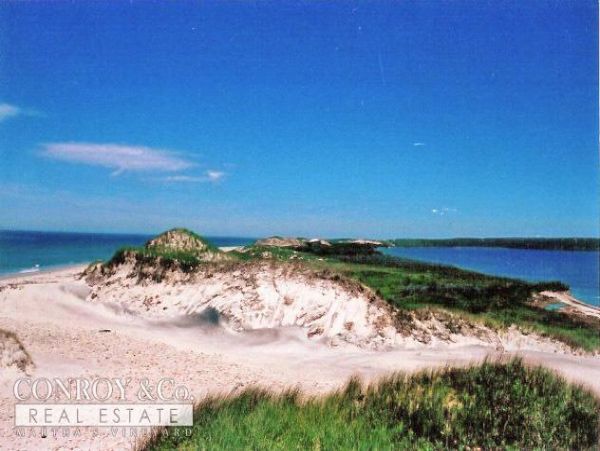 Cape Cod Home 994427