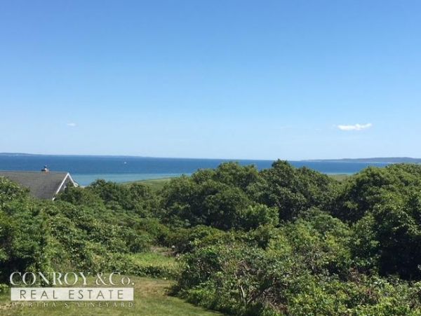 Cape Cod Home 994429