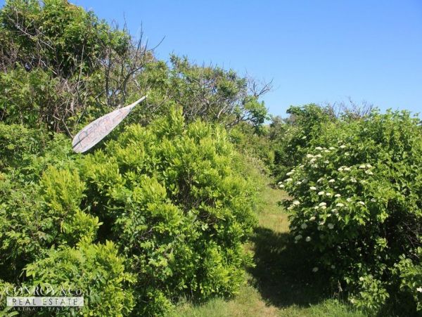 Cape Cod Home 994432