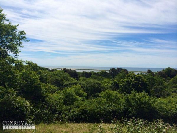 Cape Cod Home 994433