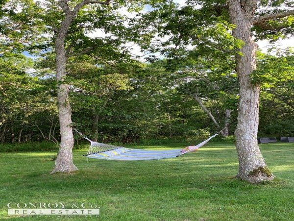 Cape Cod Home 994442