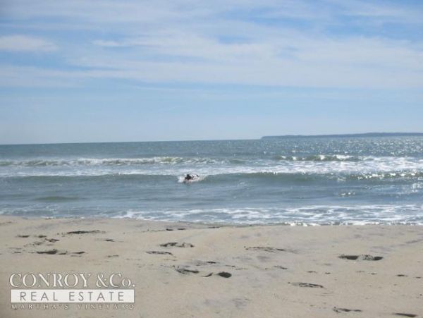 Cape Cod Home 994443