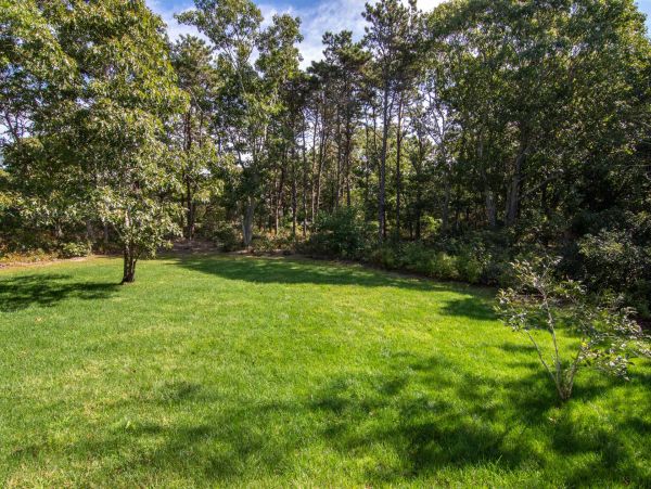 Cape Cod Home 994448