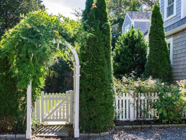 Cape Cod Home 994449