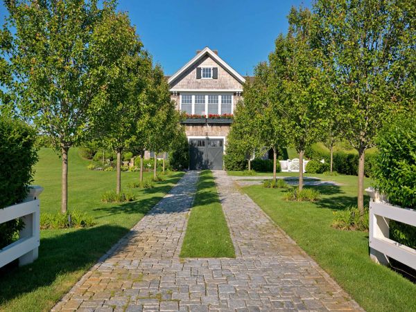 Cape Cod Home 994456
