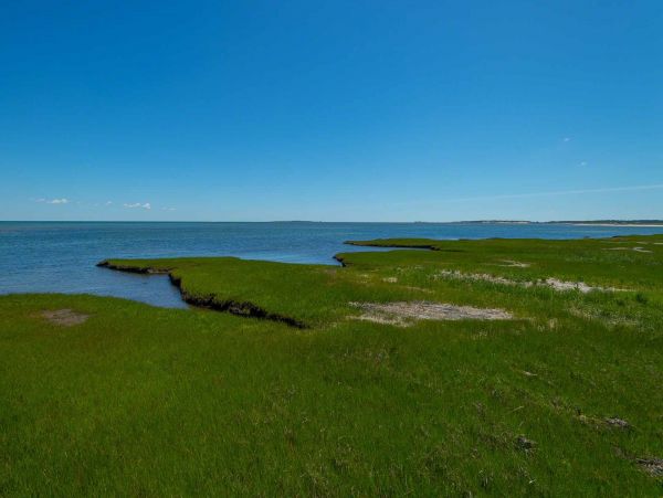 Cape Cod Home 994460