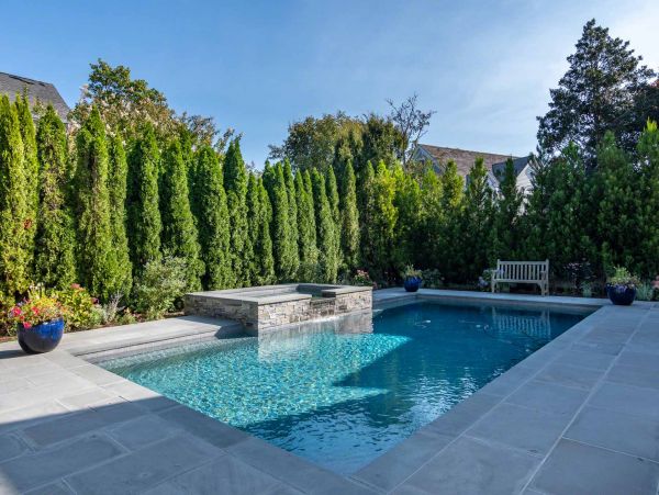 Cape Cod Home 994464