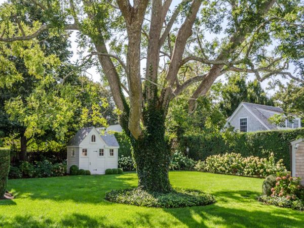 Cape Cod Home 994476