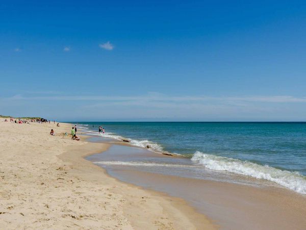 Cape Cod Home 994483