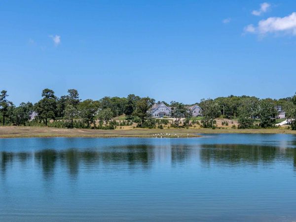 Cape Cod Home 994487