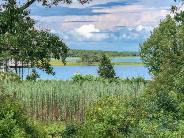 Cape Cod Home 994489