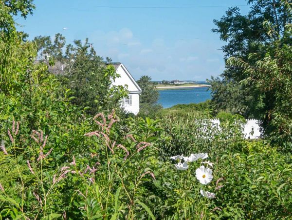 Cape Cod Home 994496