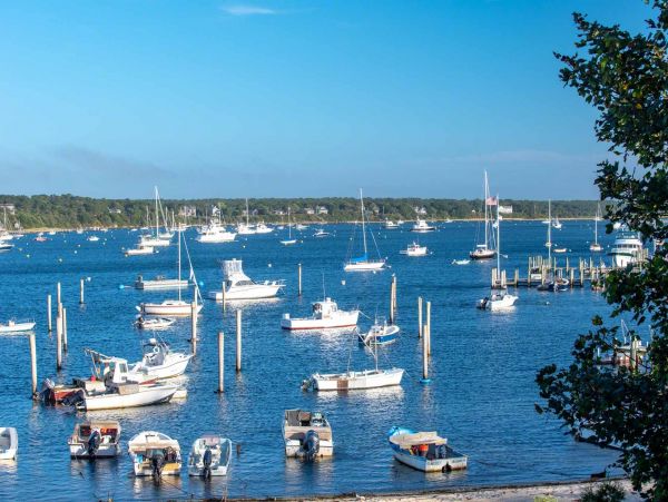 Cape Cod Home 994497