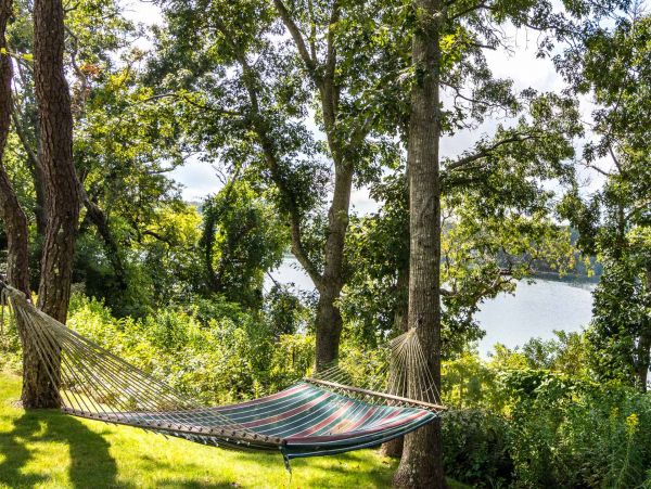 Cape Cod Home 994504