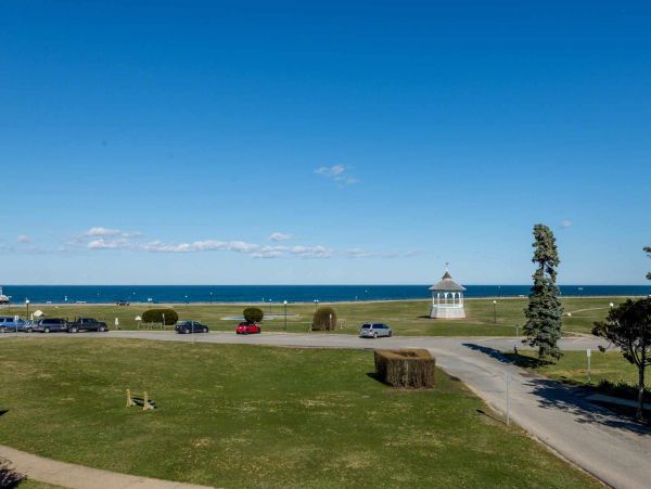 Cape Cod Home 994513
