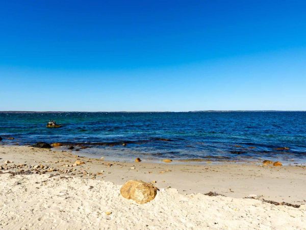 Cape Cod Home 994514