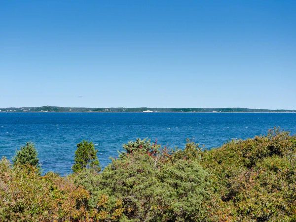 Cape Cod Home 994514