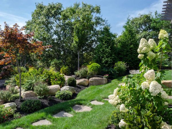 Cape Cod Home 994514