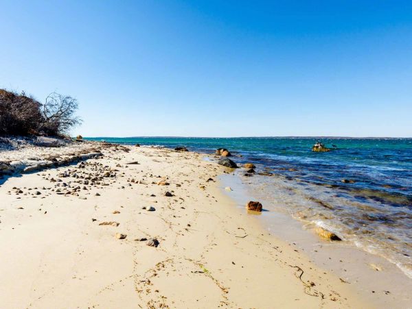 Cape Cod Home 994514