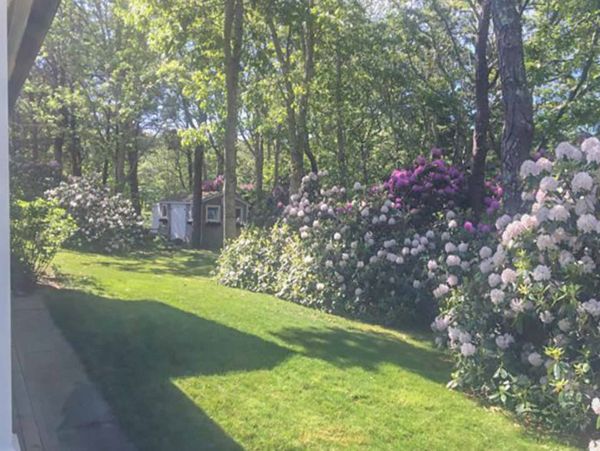 Cape Cod Home 994524