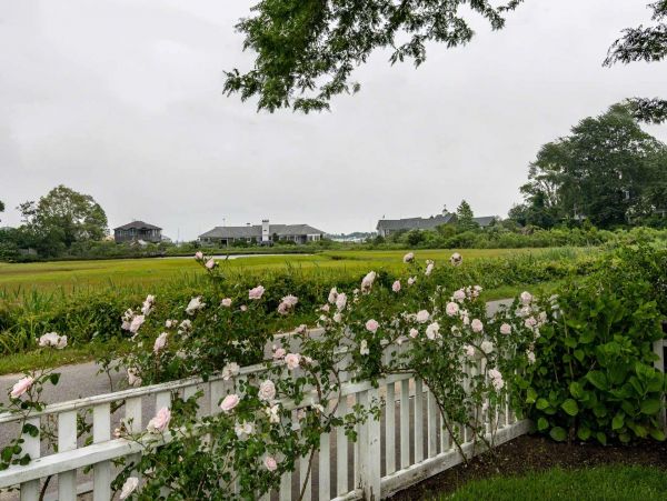 Cape Cod Home 994527