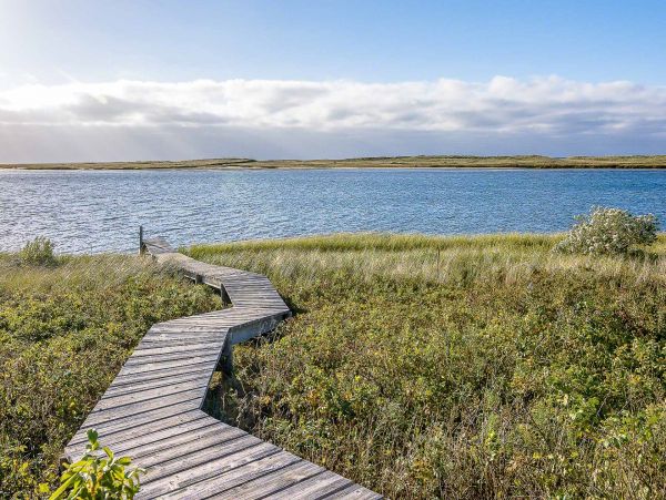 Cape Cod Home 994532