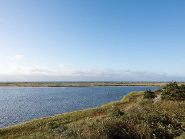 Cape Cod Home 994532