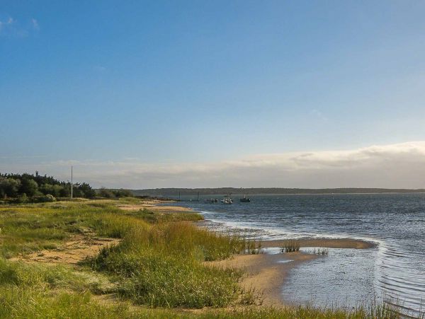 Cape Cod Home 994532