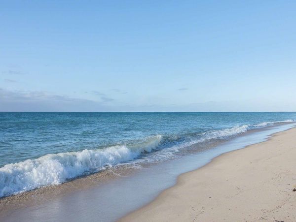 Cape Cod Home 994532