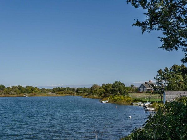 Cape Cod Home 994535