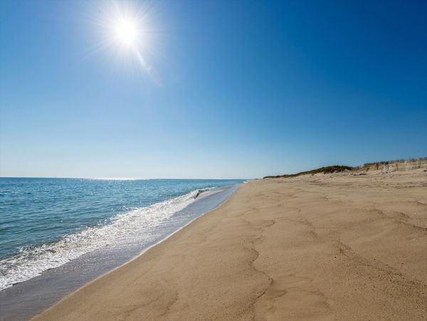 Cape Cod Home 994535