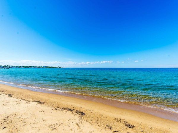 Cape Cod Home 994546