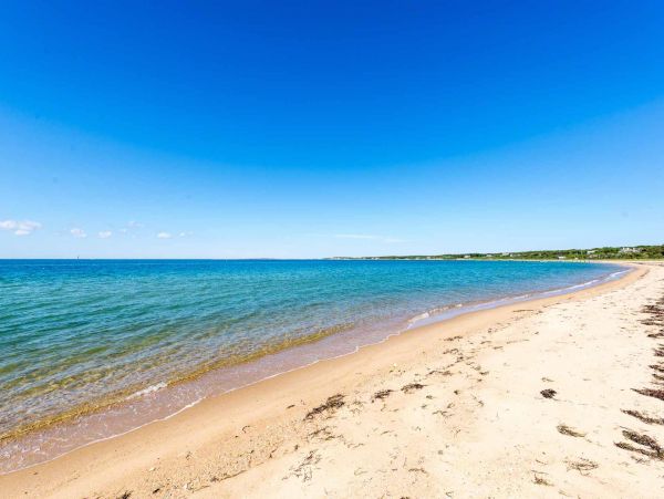 Cape Cod Home 994546