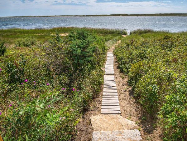 Cape Cod Home 994553