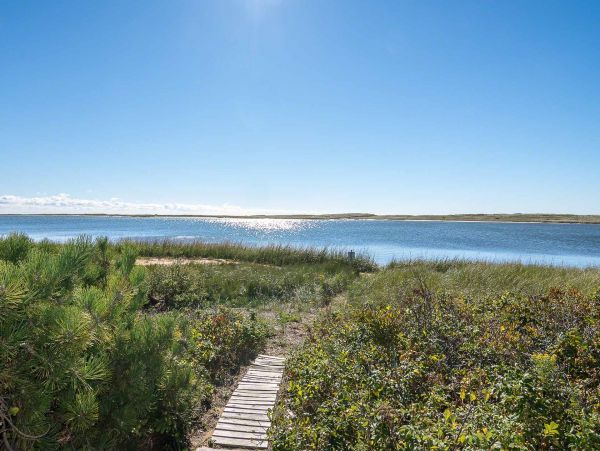 Cape Cod Home 994553