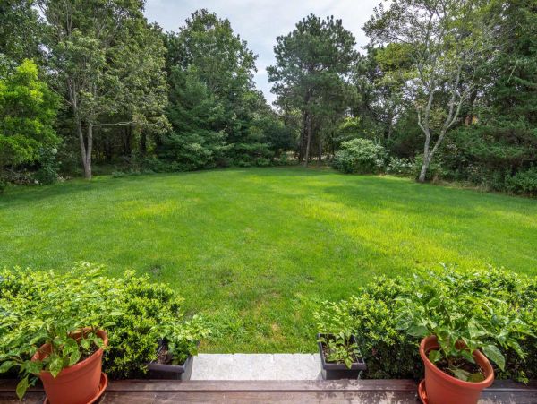 Cape Cod Home 994554
