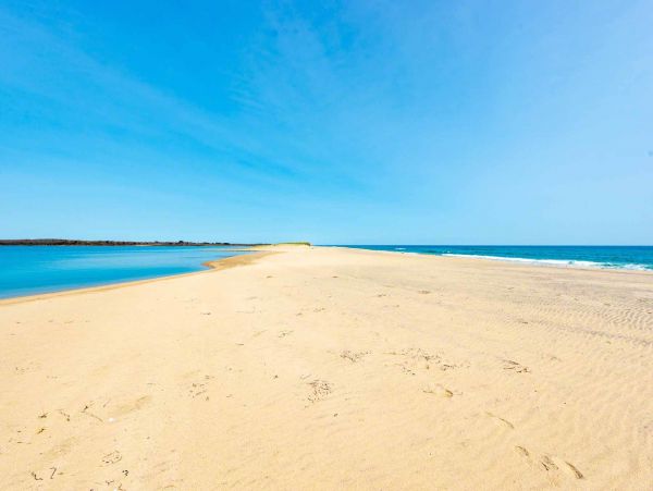 Cape Cod Home 994565