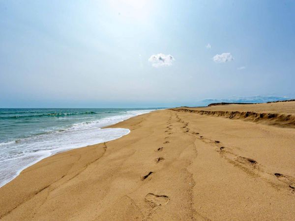 Cape Cod Home 994565
