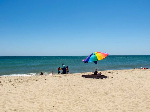 Cape Cod Home 994567