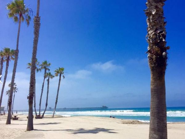 Beachfront Oceanside Luxury Vacation Accommodation