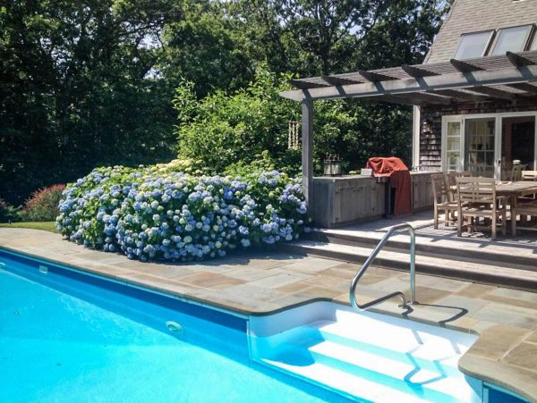 Cape Cod Home 994577