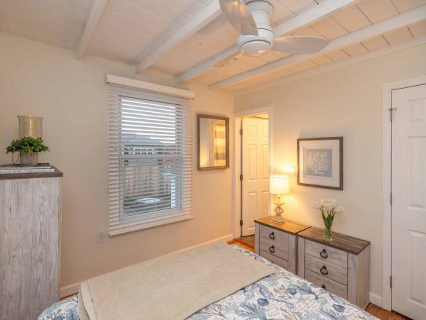 Cape Cod Home 994579
